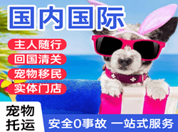 扎兰屯成吉思汗国际宠物托运 【国